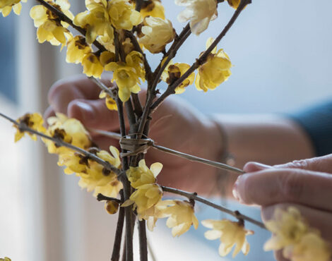 Moodcreativo_slow-geen-copertina-bis-Blog